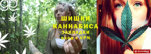 дживик Аркадак